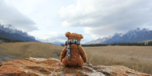 Website Caregiver Bear