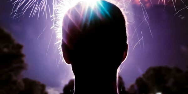 Fireworks Website